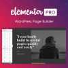 Elementor-PRO-WordPress-Page-Builder-1
