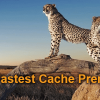 wp-fastest-cache-premium