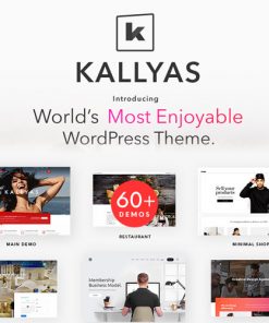 KALLYAS – Creative eCommerce Multi-Purpose WordPress
