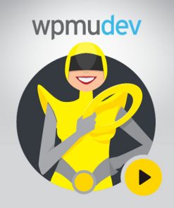 WPMU-DEV-Hummingbird-Pro