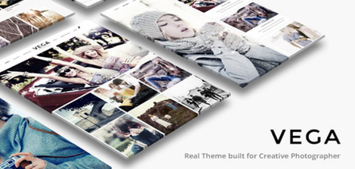 vega-theme